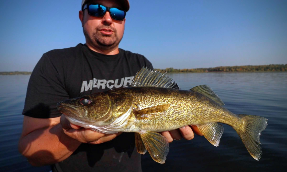 Fall Pitchin Puppet Walleye Tips Northland Fishing Tackle