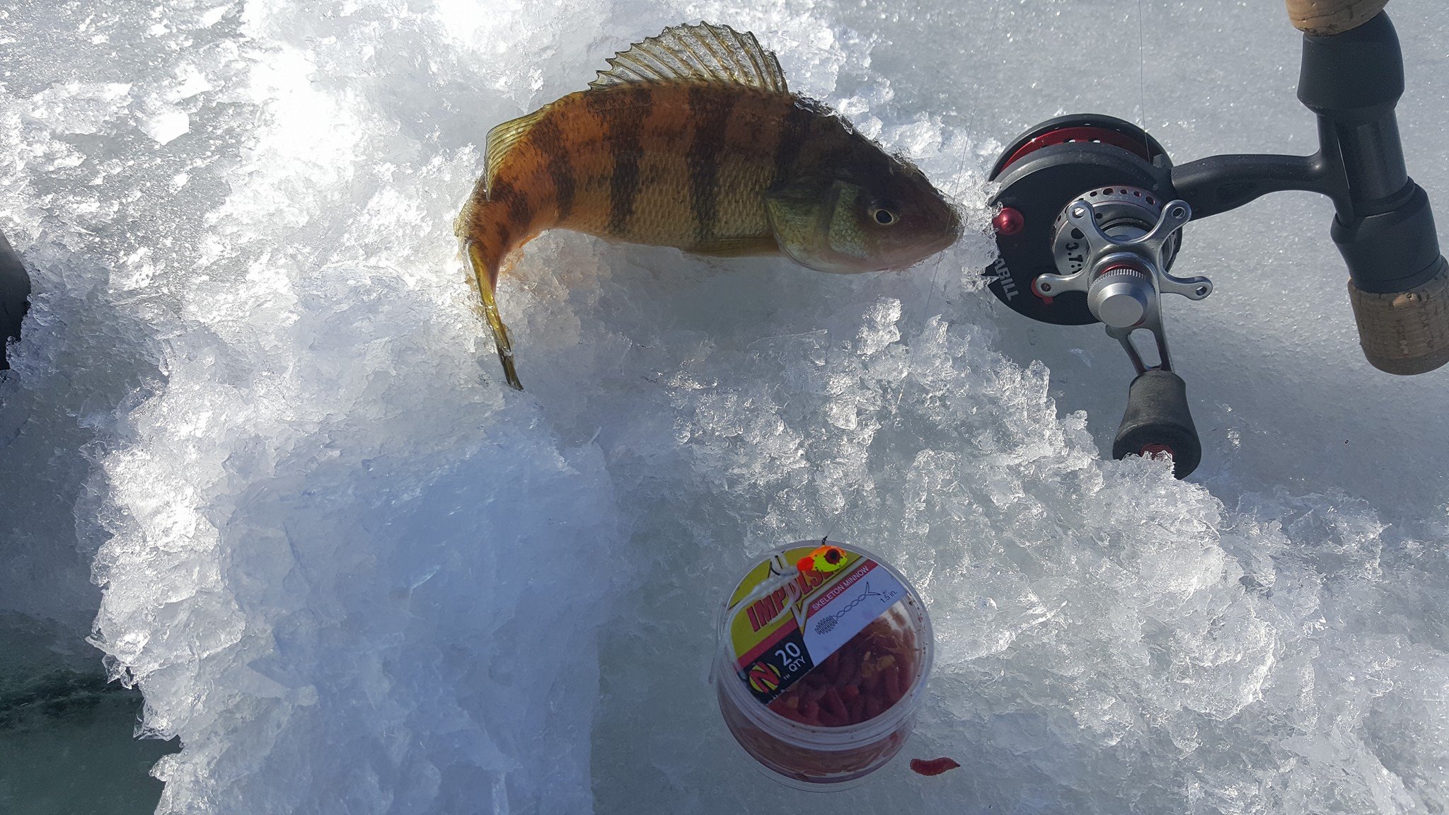 Panfish Ice Fishing Tips with Brian Bro Brosdahl
