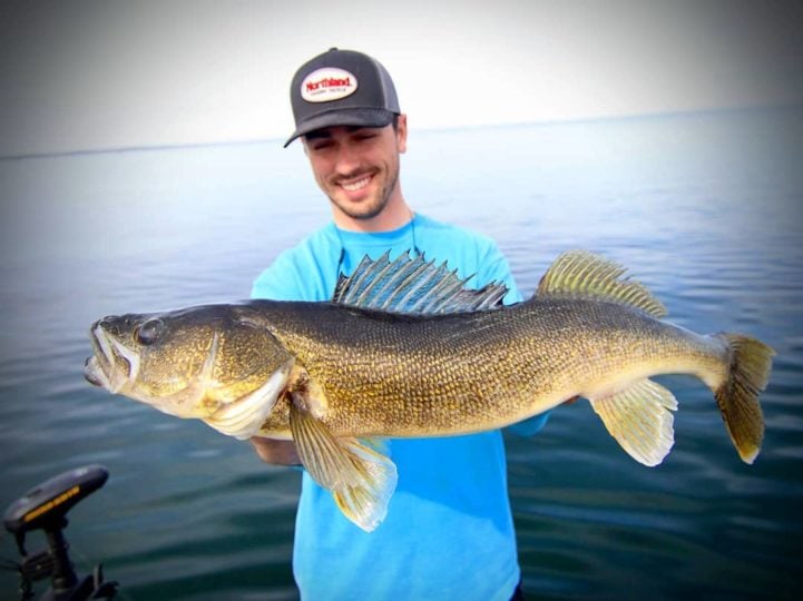 Walleye Fishing In The Shallows