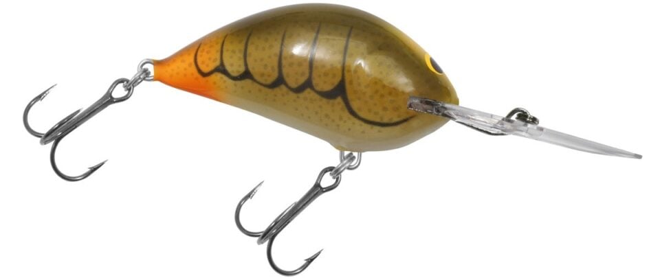 Elite Crankbaits Sunny B Breakdown