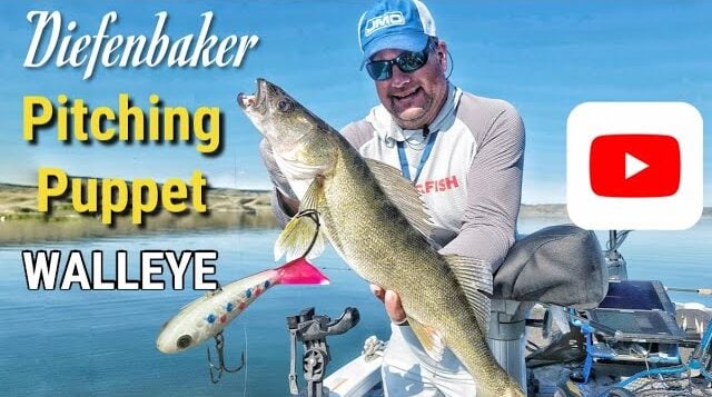 Walleye On Pitchin' Puppets