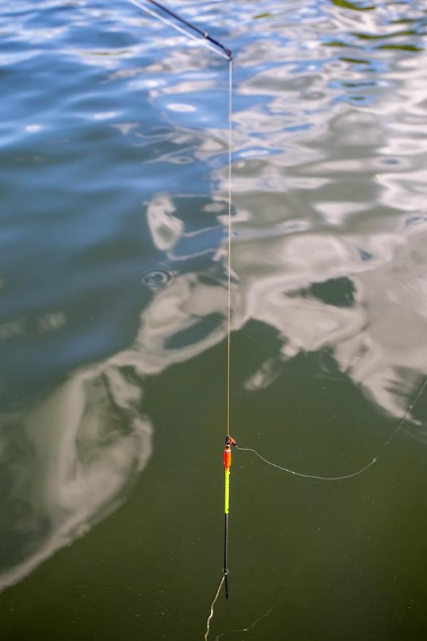 Take your fishing game up a notch with our Bowducer system! It's