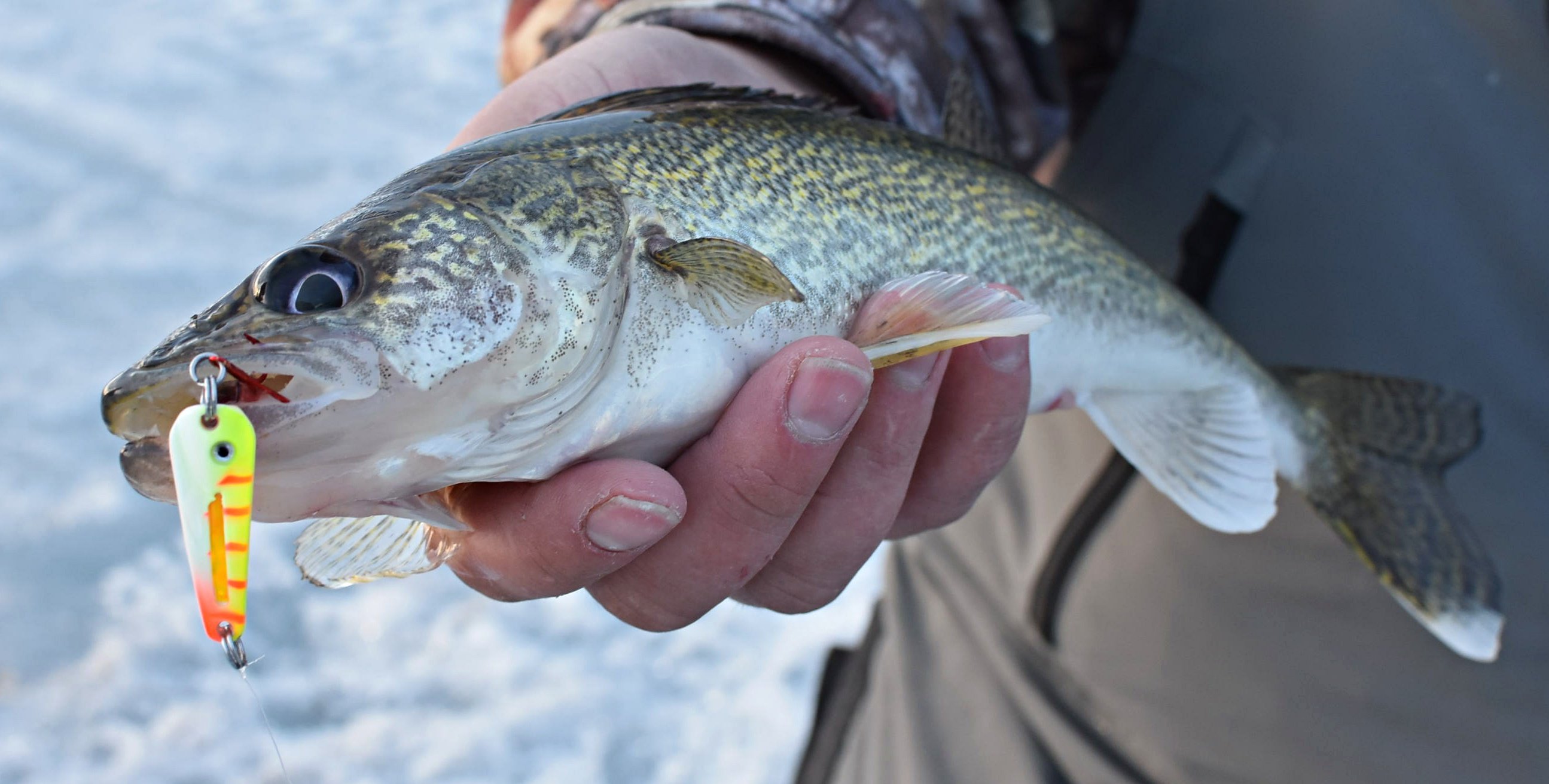 Ice Fishing Tips for Walleyes!