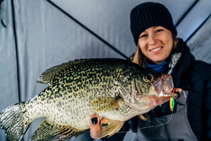 Fishing for Crappie and Panfish When it's Cold - Realistic Fishing