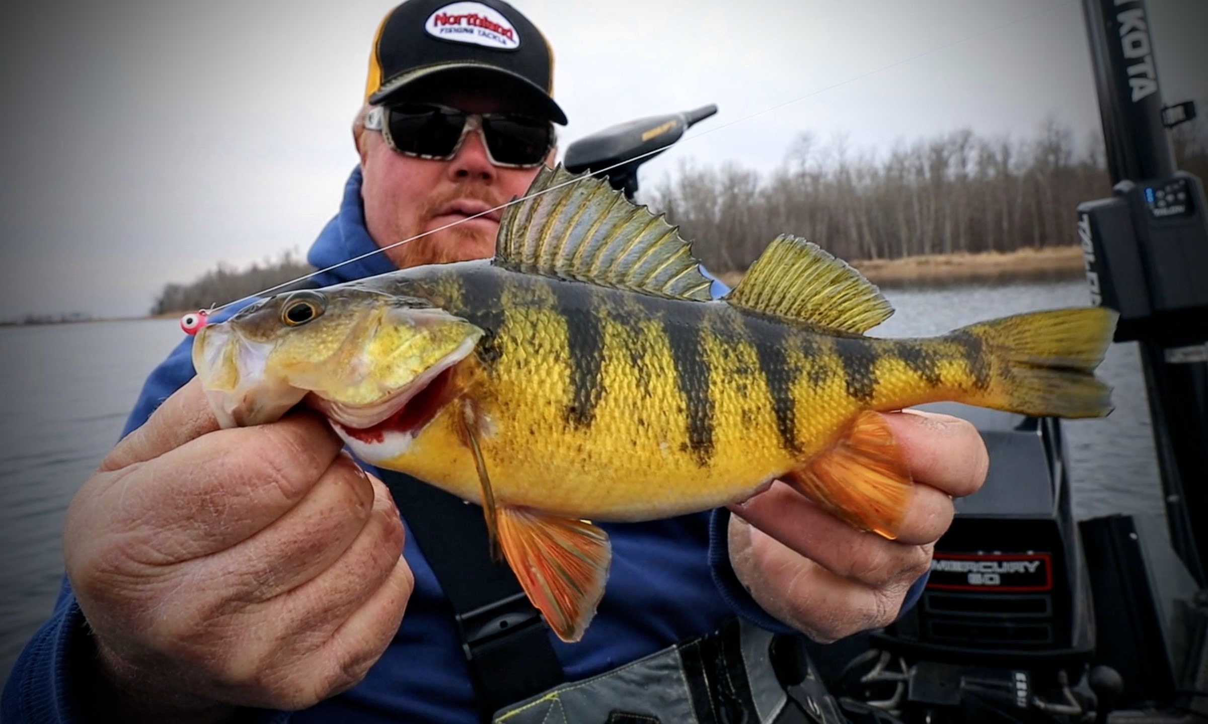 Early Spring fishing notebook for SW Virginia; what's biting and where you  can catch them