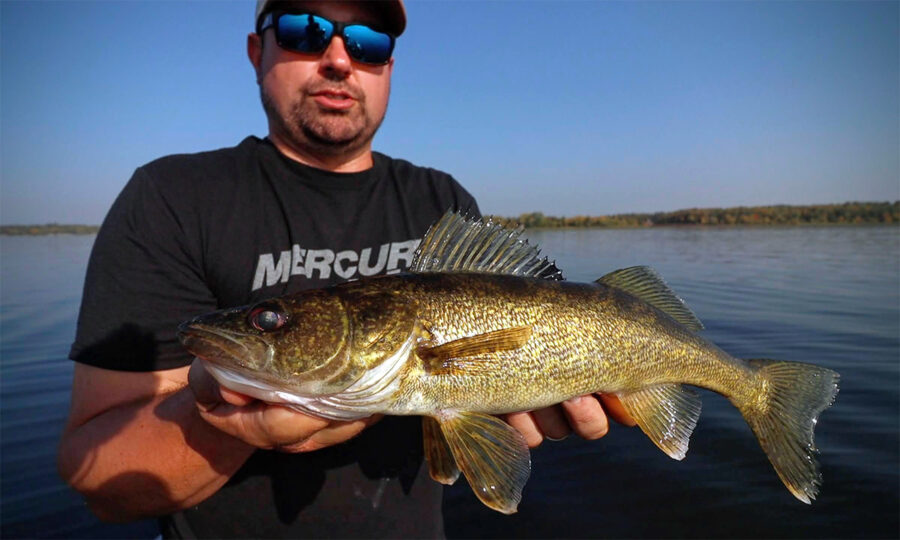 Fall Pitchin' Puppet Walleye Tips