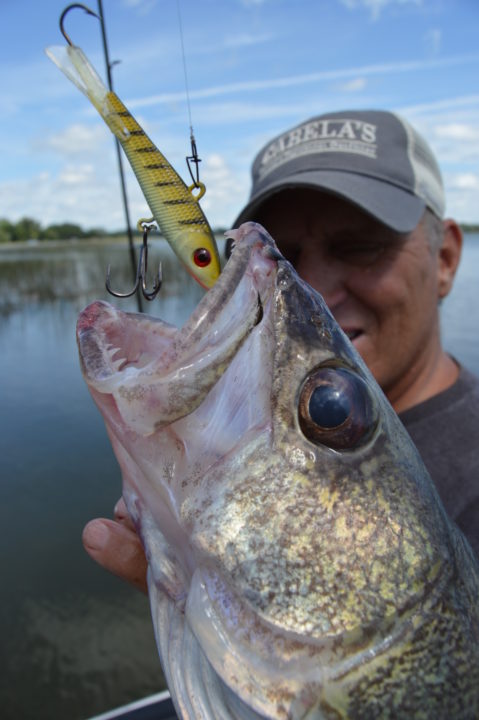 3 MUST HAVE Summer Walleye Lures! 