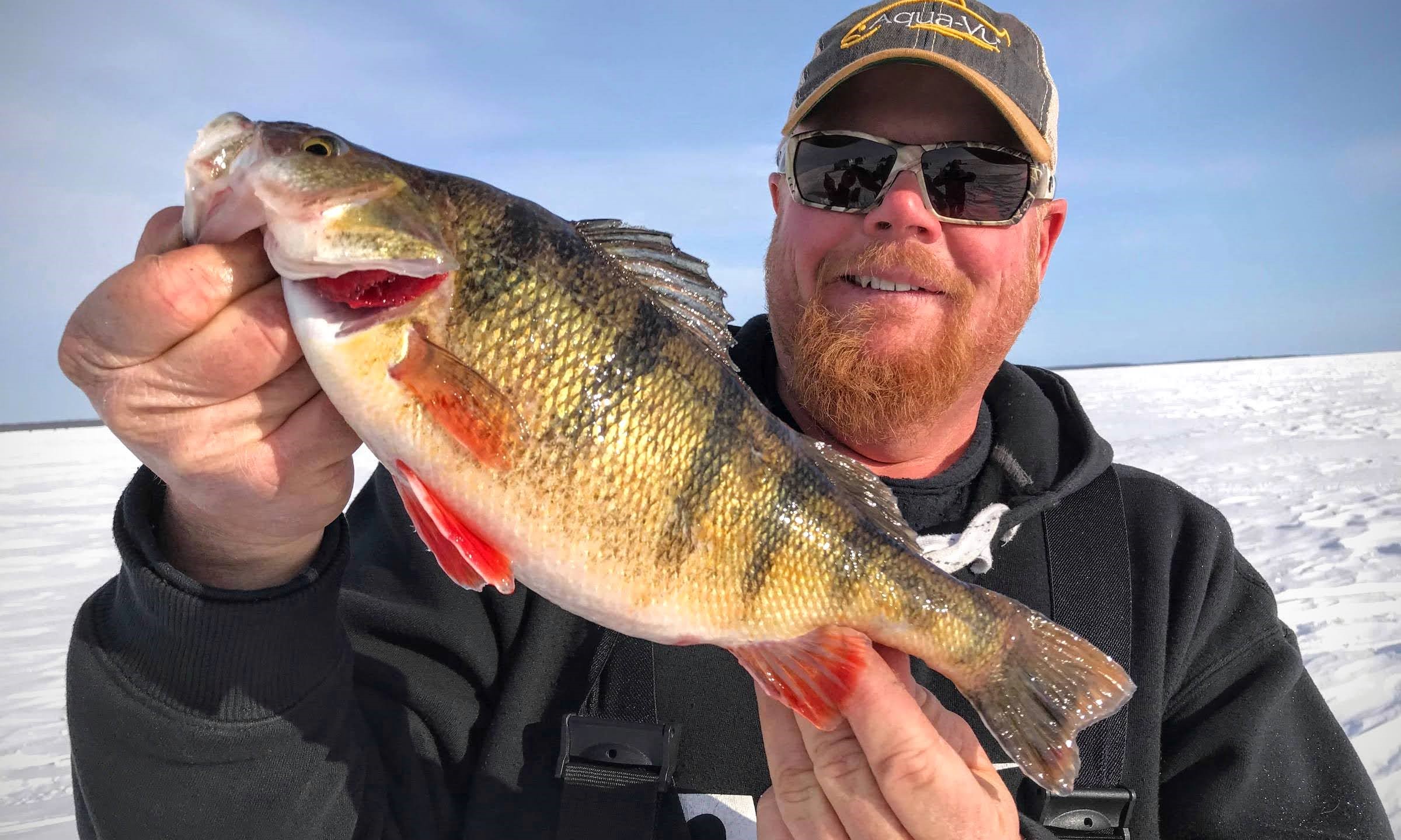 Ice Fishing Perch EVERYTHING You Need To Know Northland Tackle