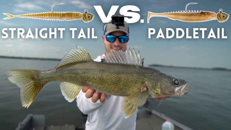 Best Walleye Plastics Comparison