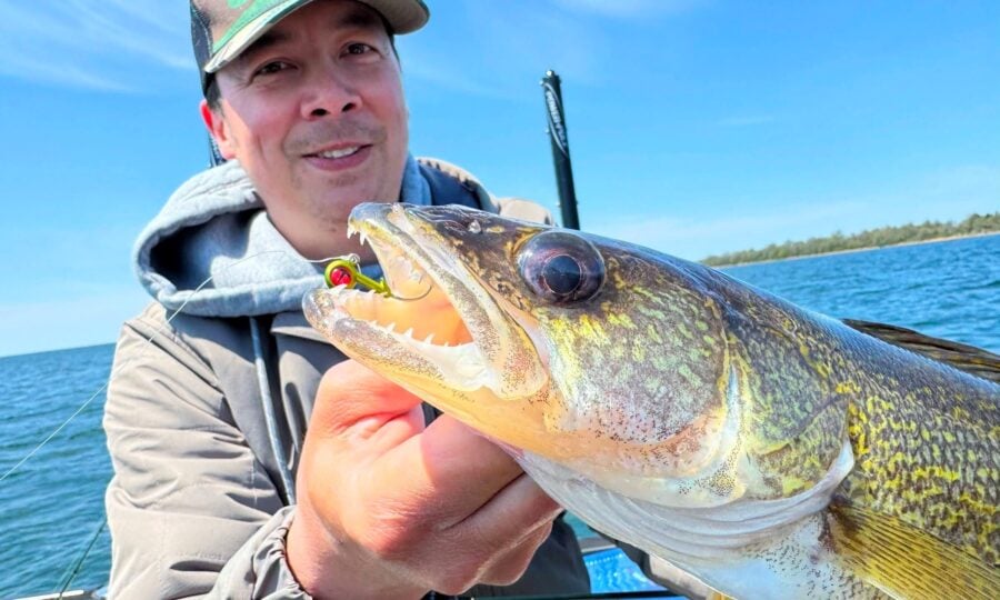 Sneaky Walleye Jig Color