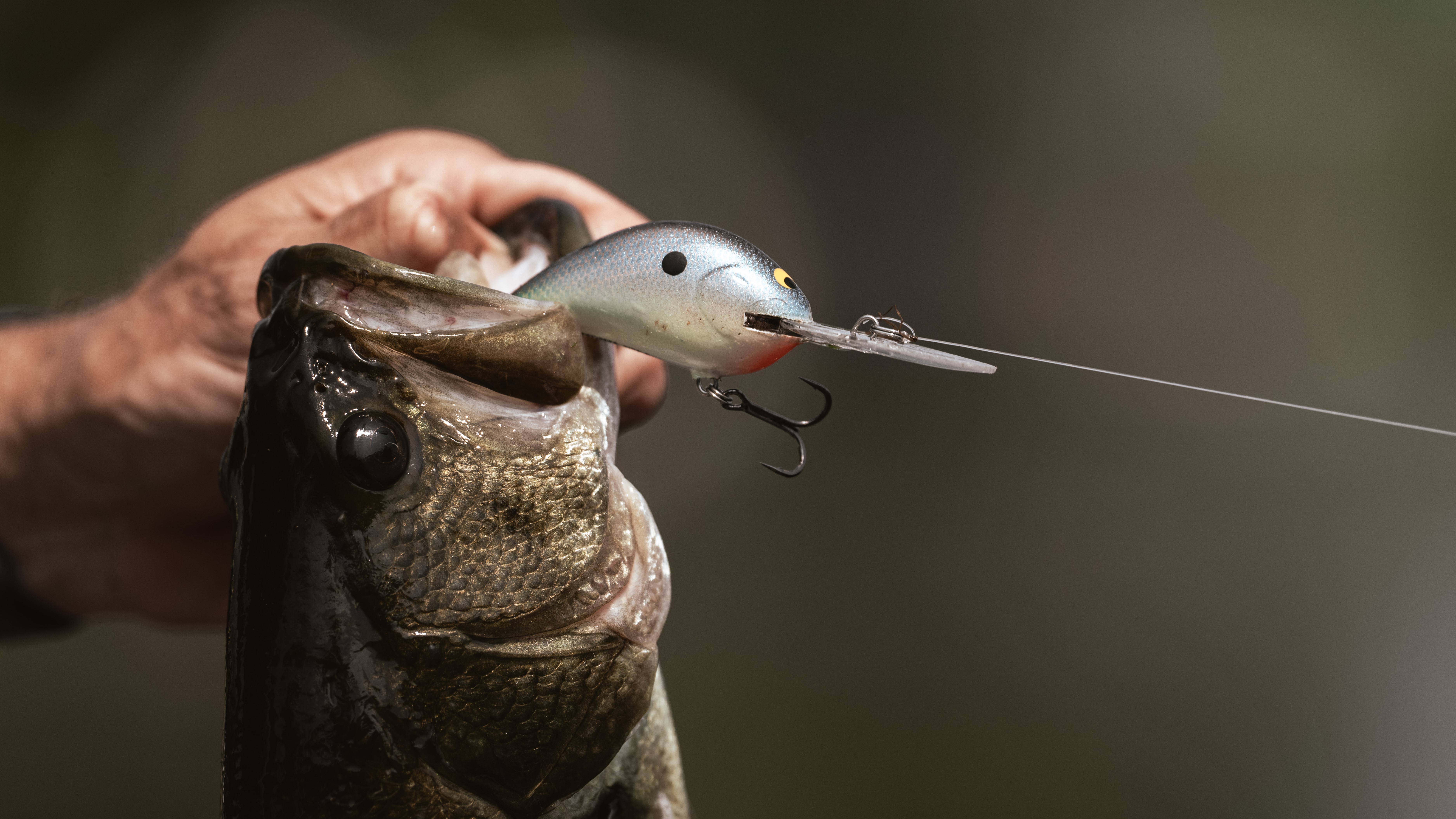 Late Summer Bass Fishing