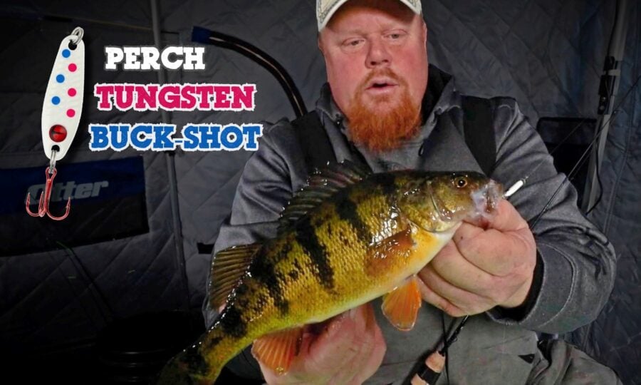 Tungsten Buck Shot Perch Fishing