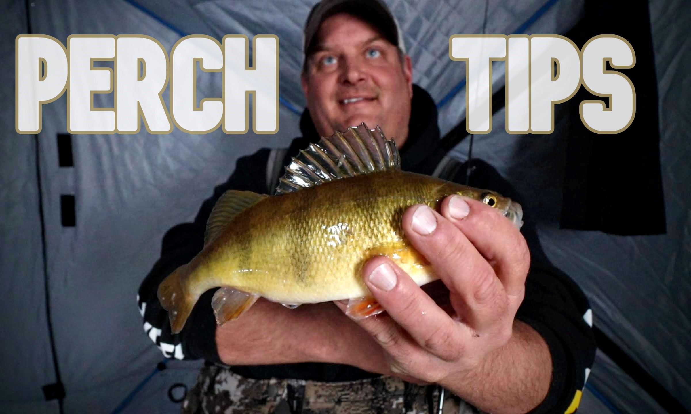 Perch Fishing Baits, Tips & Tactics | Northland Fishing Tackle