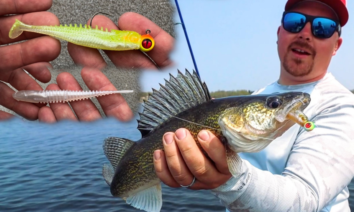 Walleye Minnows & Swimbaits | Northland Fishing Tackle