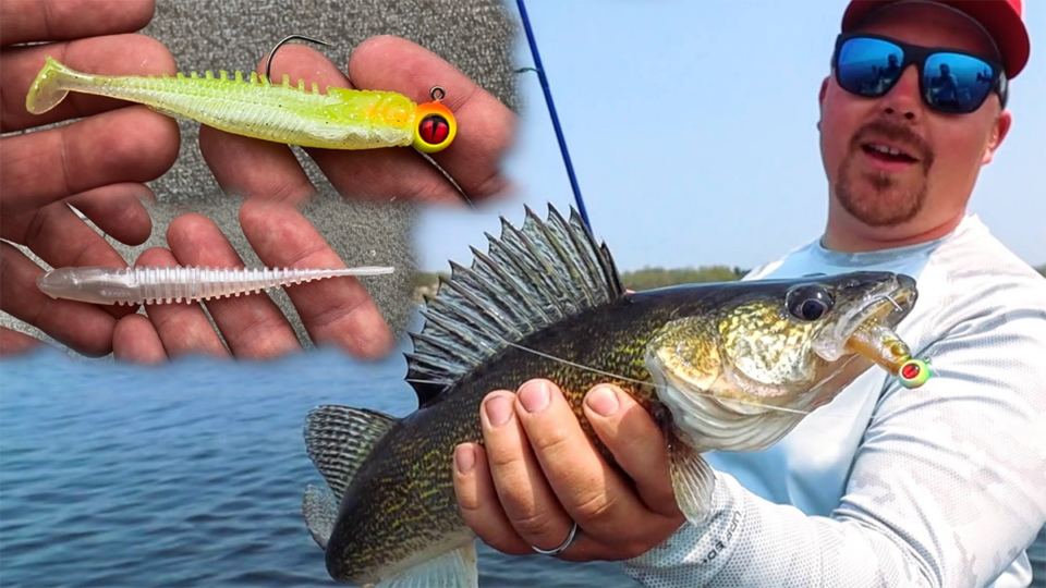 Walleye Minnows & Swimbaits