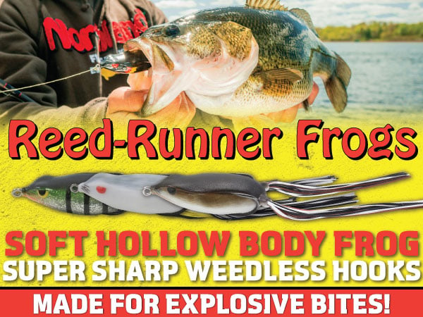 Northland Fishing Tackle Reed-Runner Frog, must have for fall time fishing for big largemouth bass.