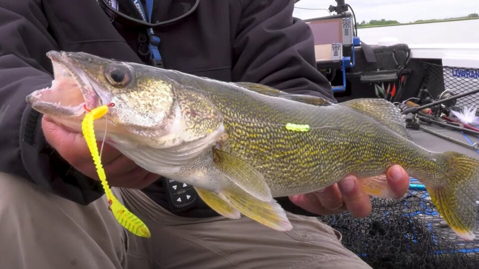 Spinner Rigging Eye Candy Leeches