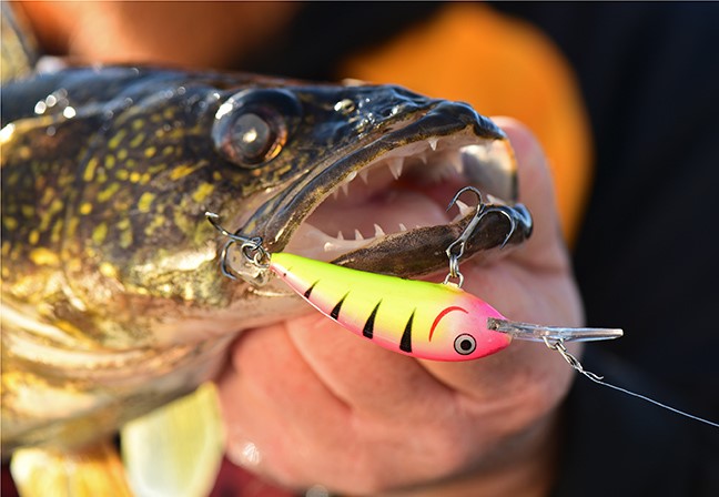 Premium Photo  Fishing hooks and baits in a set for catching