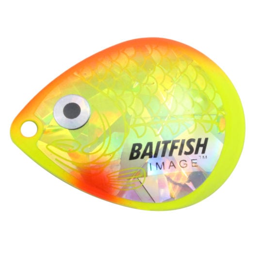 fishing planet falcon lake rainbow trout spinner