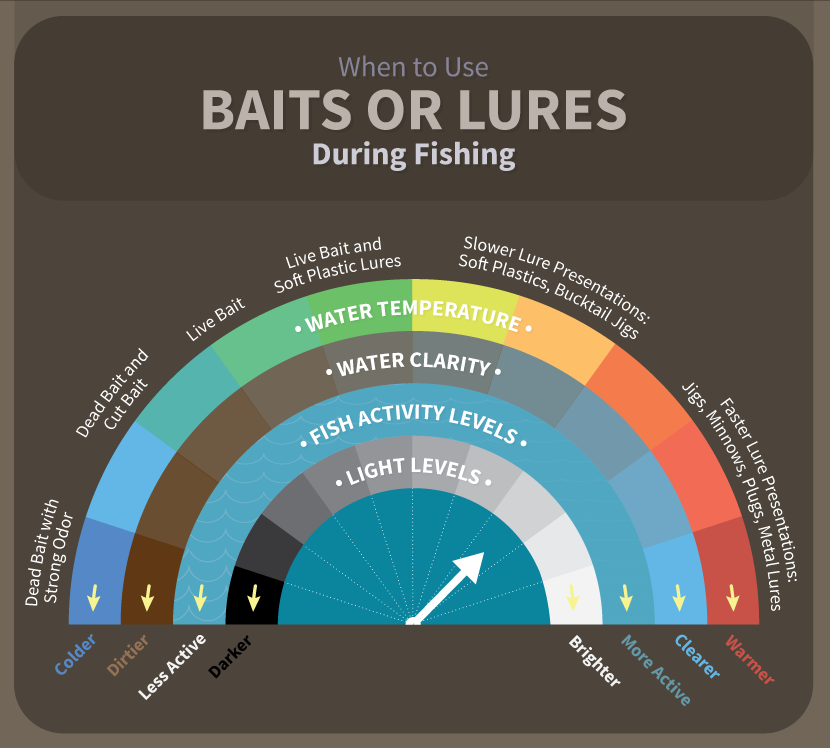 Fishing Tackle - When to Use Baits or Lures