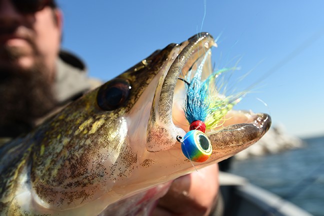 Spring River Walleye Fishing Tips - Northland Fishing Tackle