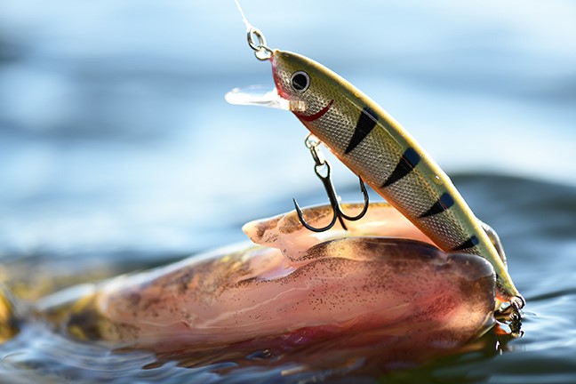 Catch More Walleye by Controlling Crankbait Depths