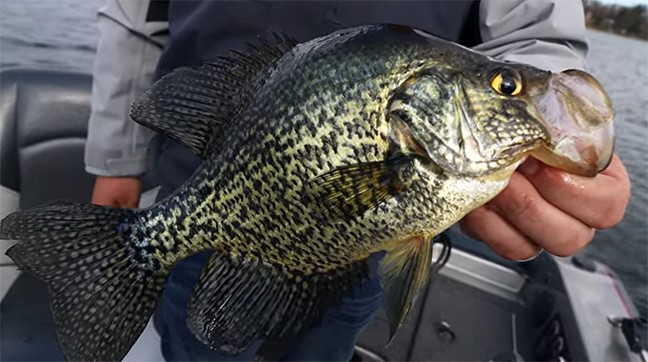Float Fishing for Spring Crappies - Northland Fishing Tackle