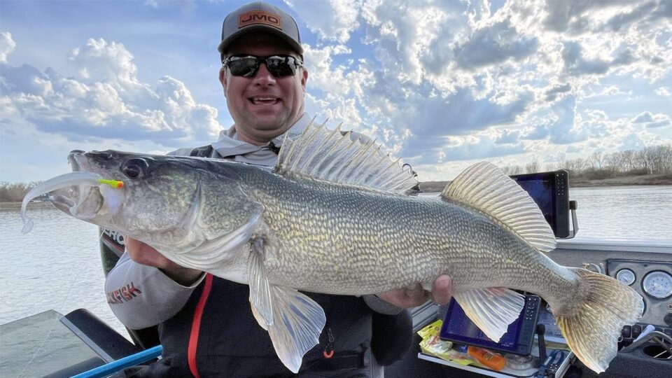 Soft Plastics River Walleyes