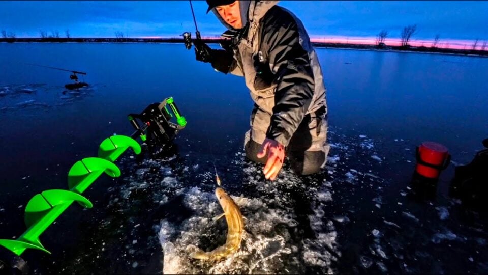 Shallow First Ice Walleyes